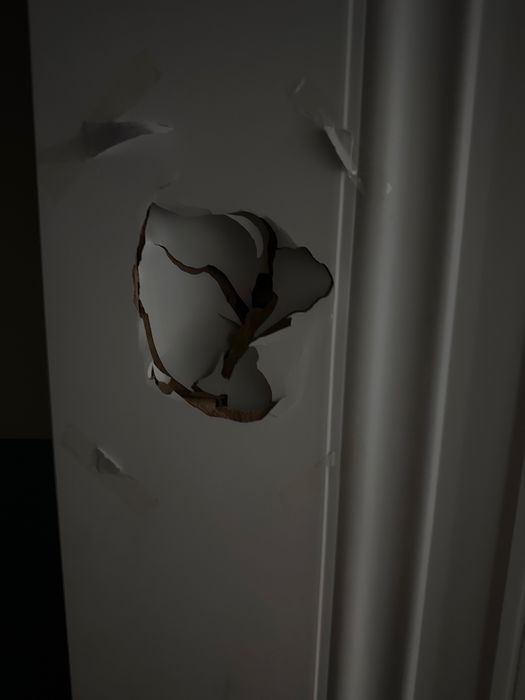 Полотно дверь 70 см