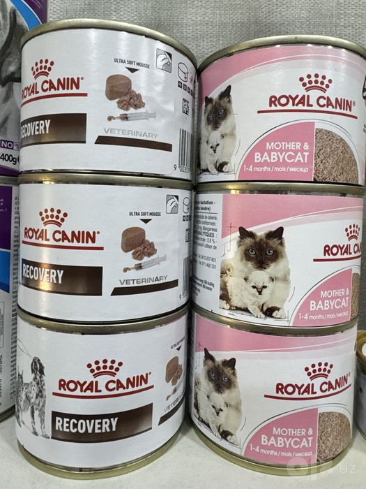 Royal Canin влажный