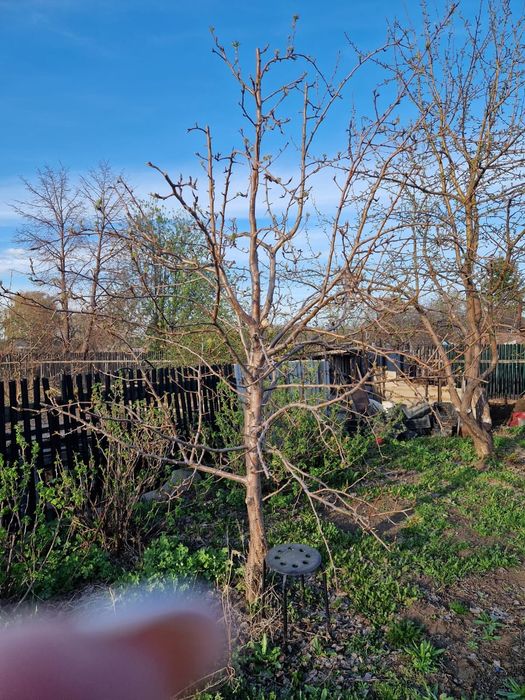 Дача " Здоровье"-1