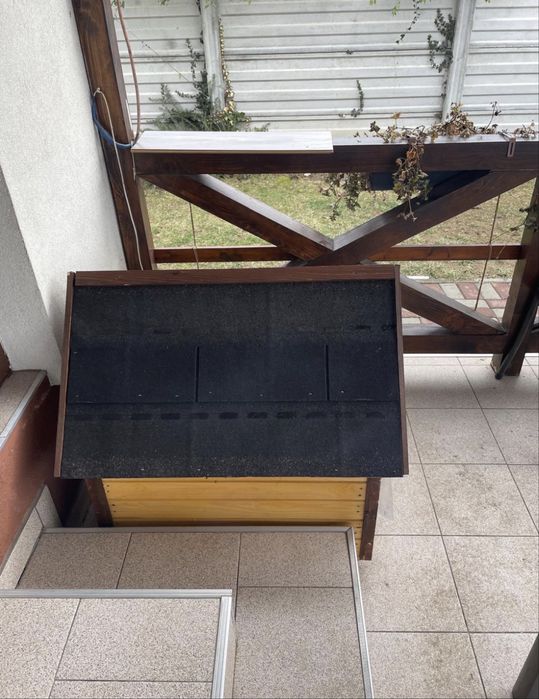 Cusca de caine mediu