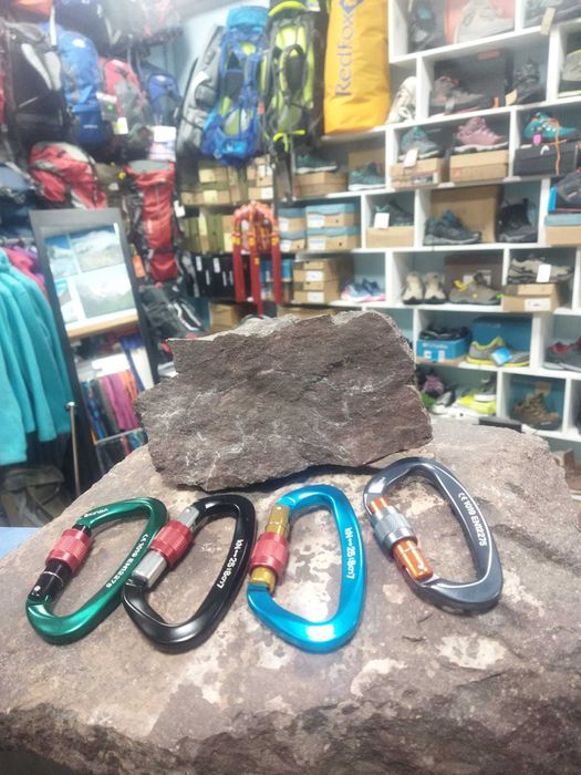 Продаются кошки с котятами