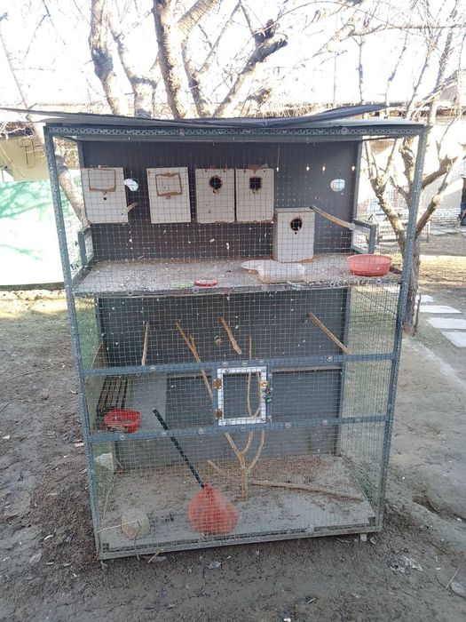 Куш у́йчаси сотилади.