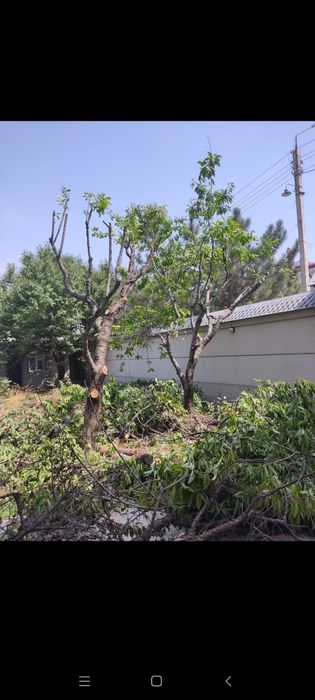 archa ekish kesish dorilash