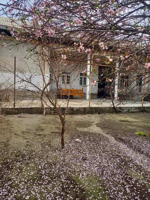 Xovli uy sotiladi