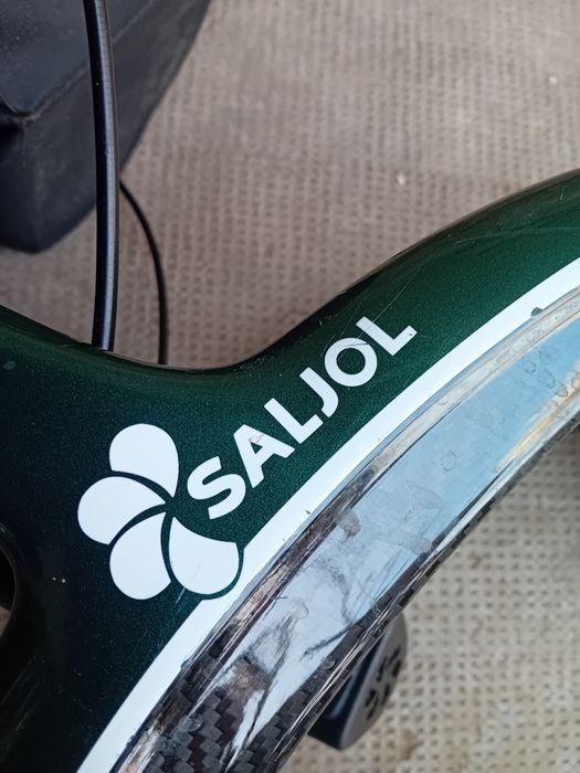 .Rolator pliabil verde.
