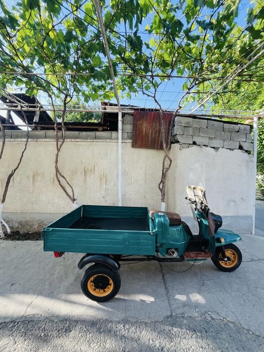 Муравей янги холатда