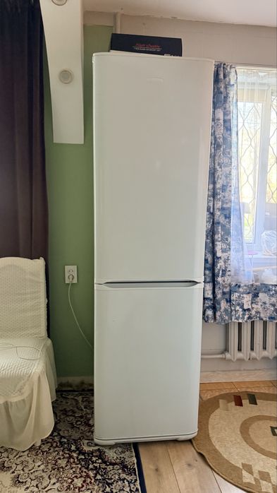 Бирюса высота- 2м