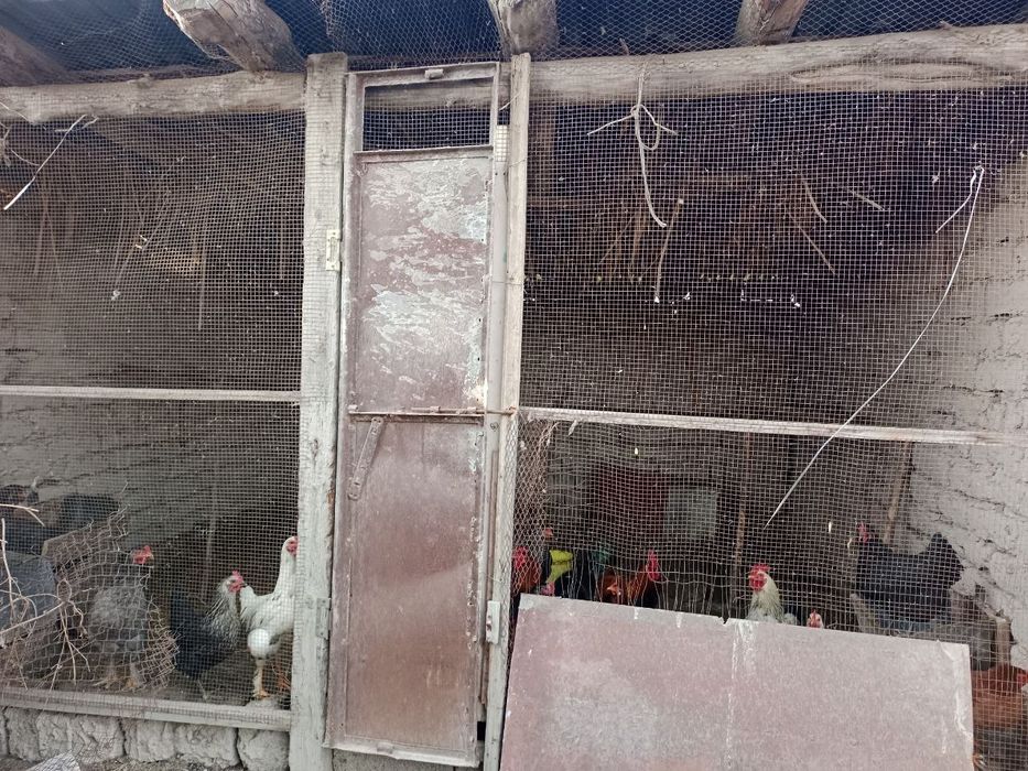 Срочно продается дом 38 соток