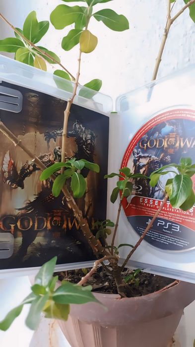 Ps3 игры God of war