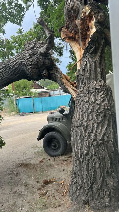 Самовывоз дерева на дрова