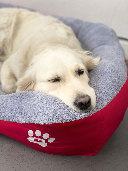 Легло за голямо куче с лапичка ХХЛ червен