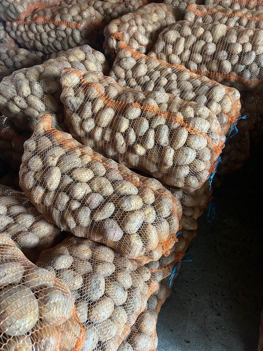 Vând cartofi albi de consum