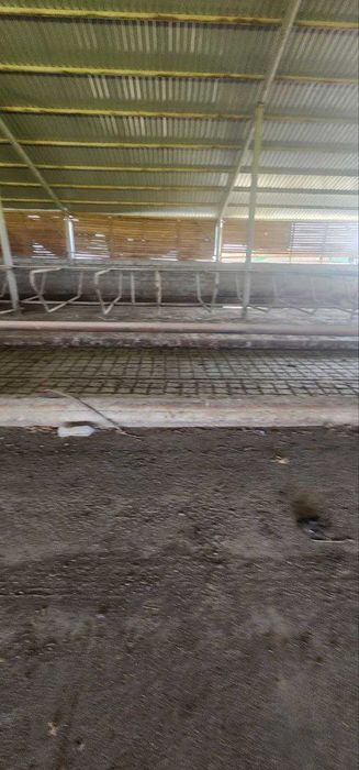 Ферма 10 Га по трассе Самарканд Карши