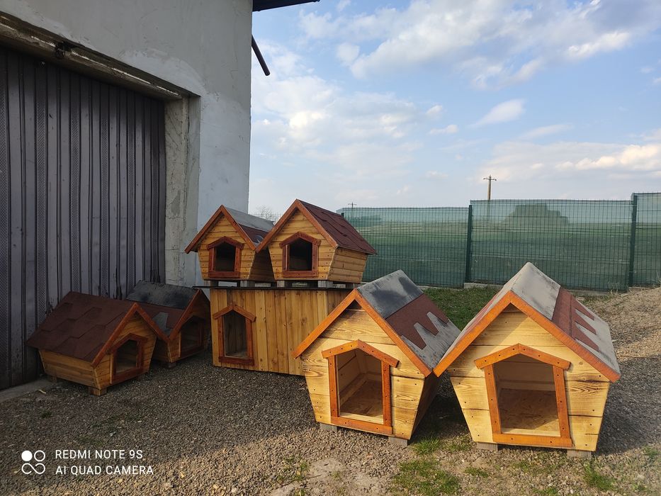 Căsuță căței / Cuști