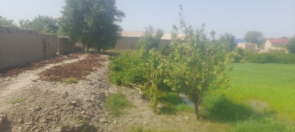 Navoiy viloyati Qiziltepa tumani Toshrabot J/X Nurafshon MFY uy-joy