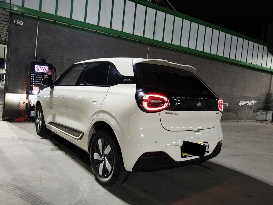 Dongfeng nammi 01