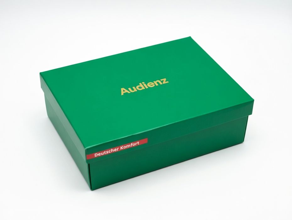 Зимние мужские ботинки "Audienz"