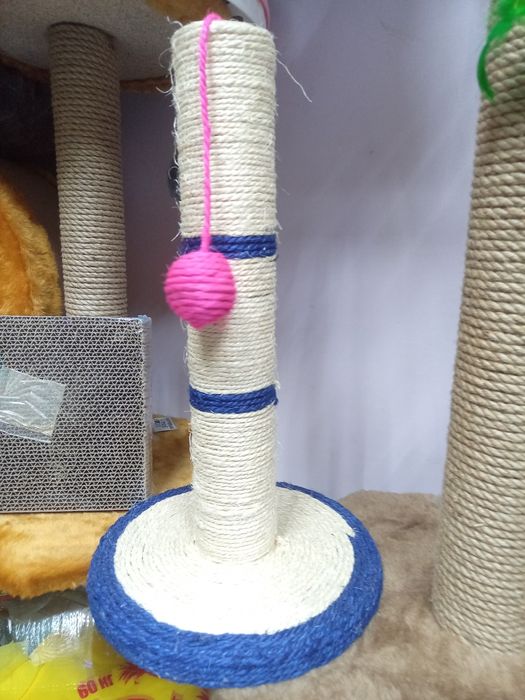 Комплекс для котиков