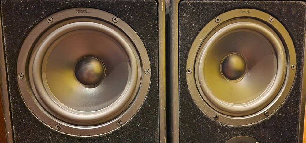 Boxe Canton Ergo 80