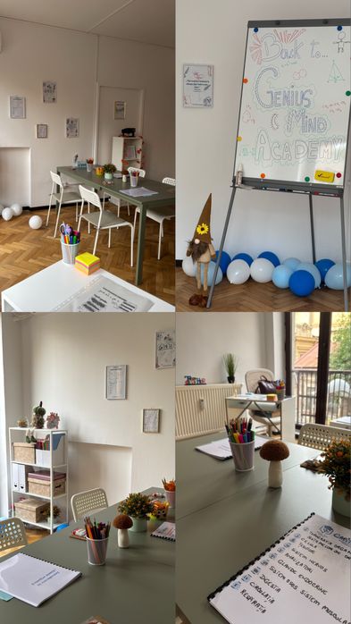 Pregătire-Limba română: BAC, Evaluare Nationala,Consolidare materie