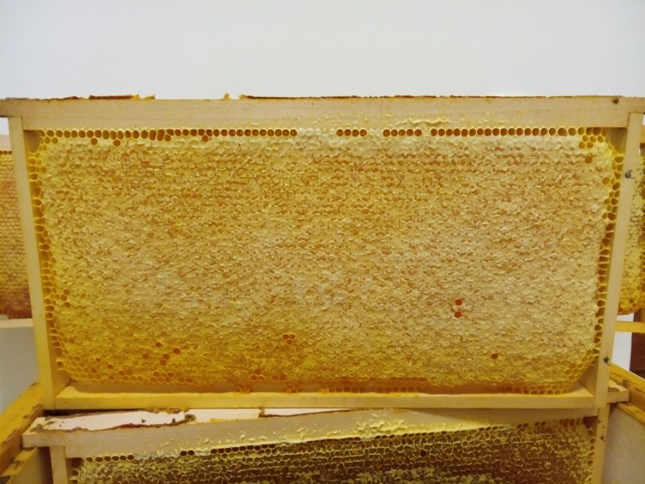 пчелен мед/клеева тинктура/прашец от производител