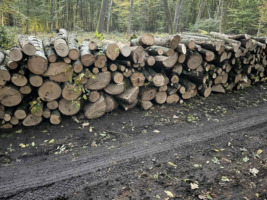 Lemne de foc esență