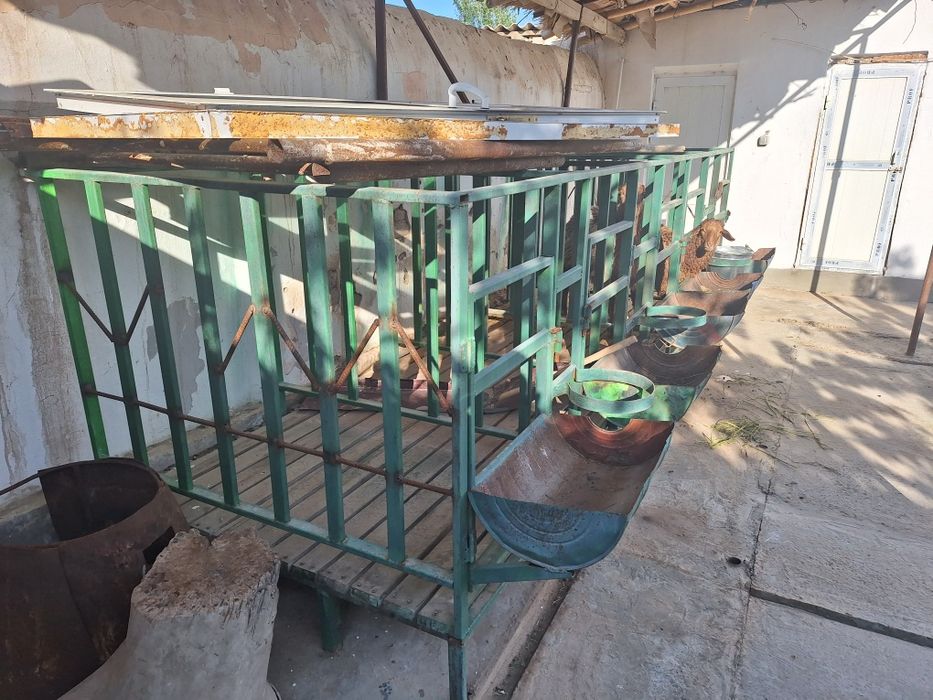 Ayollar erkaklar bilan jamoat hammomida