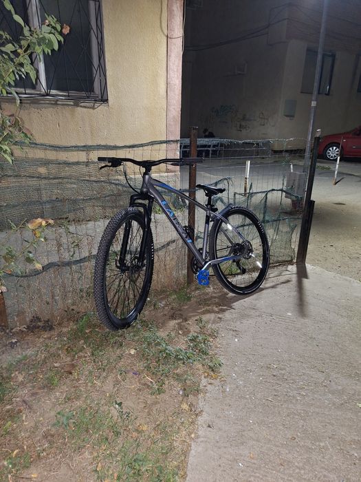 Carpat invictus hardtail