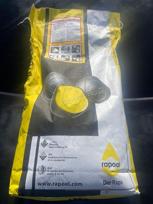 Продам семена рапса