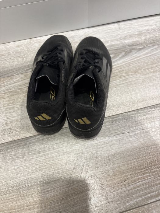 Сороконожки детские