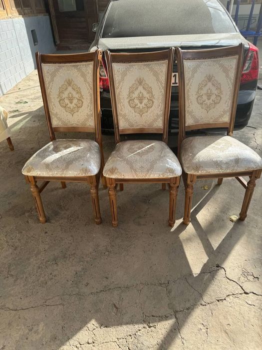 Prokat Stul Naves Zontik Shirma Agrajdeniya Prakatga beramiz