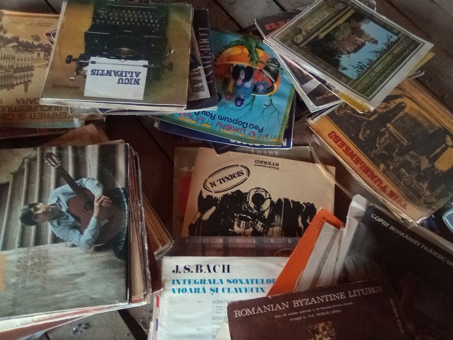 Colecția de volume  Adevarul  și discuri vinil