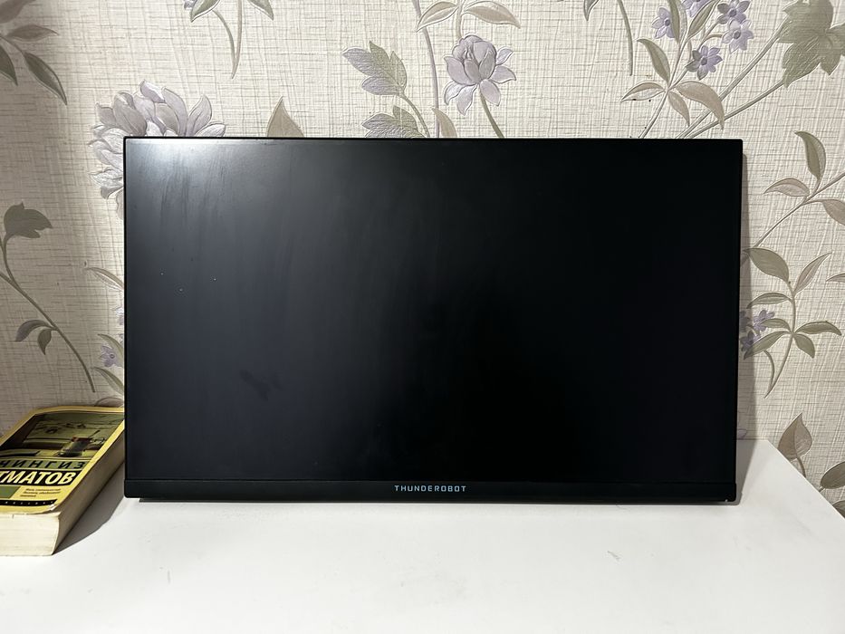 Монитор 24.5" ThundeRobot LF25F180