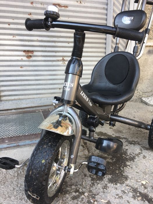 Олекотена триколка