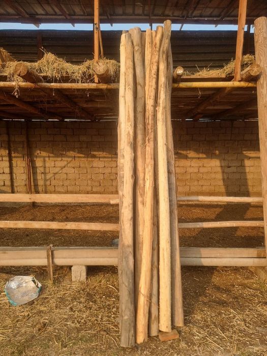 To'sin sotiladi rossiya va teraklar