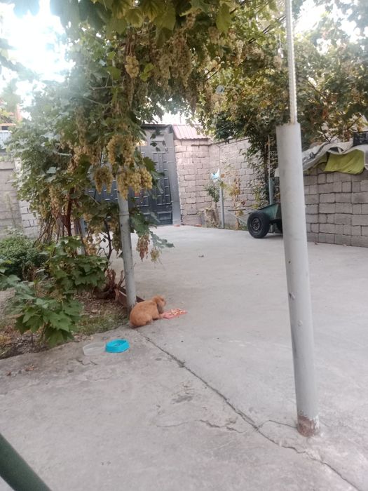 Продается уютная дача.