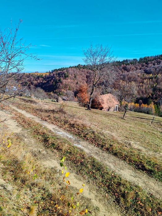 Teren intravilan in Bran - Simon