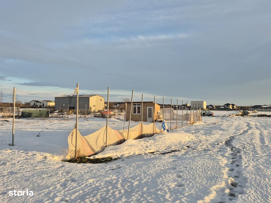 Vanzare teren Balotesti,apropiere padure, 18000 euro