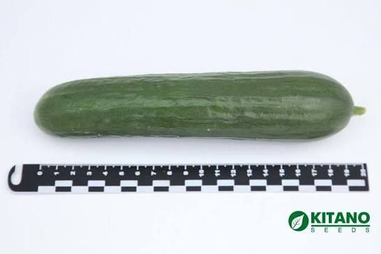 Продам нижнее бельё