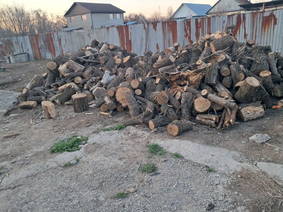 Қара ағаш отын сатылады