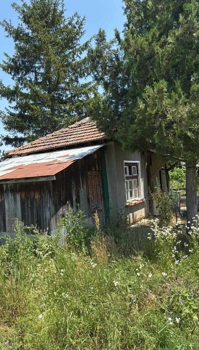 Вила с двор 3 дка ,Севлиевски лозя