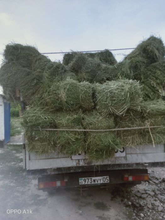 Түкке салынған жоңыршқа.