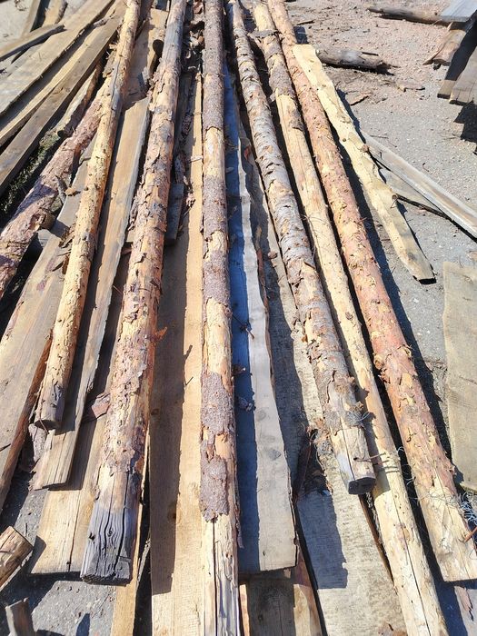 Доска Кругляк бу