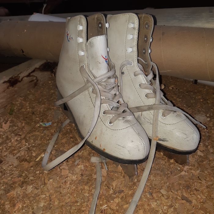 Продам коньки срочно