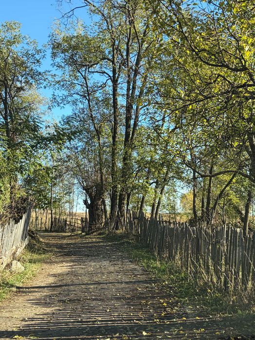 Teren de vis Horezu 10 000m