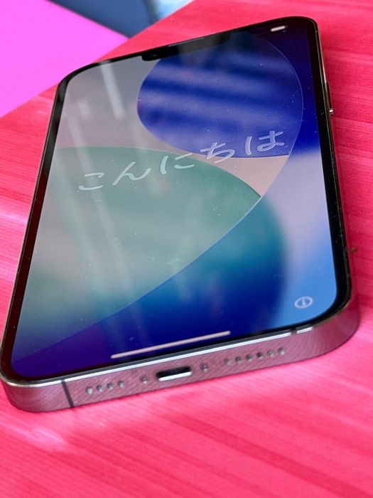 Iphone 13 promax