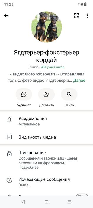 Ягктерьер только вязка