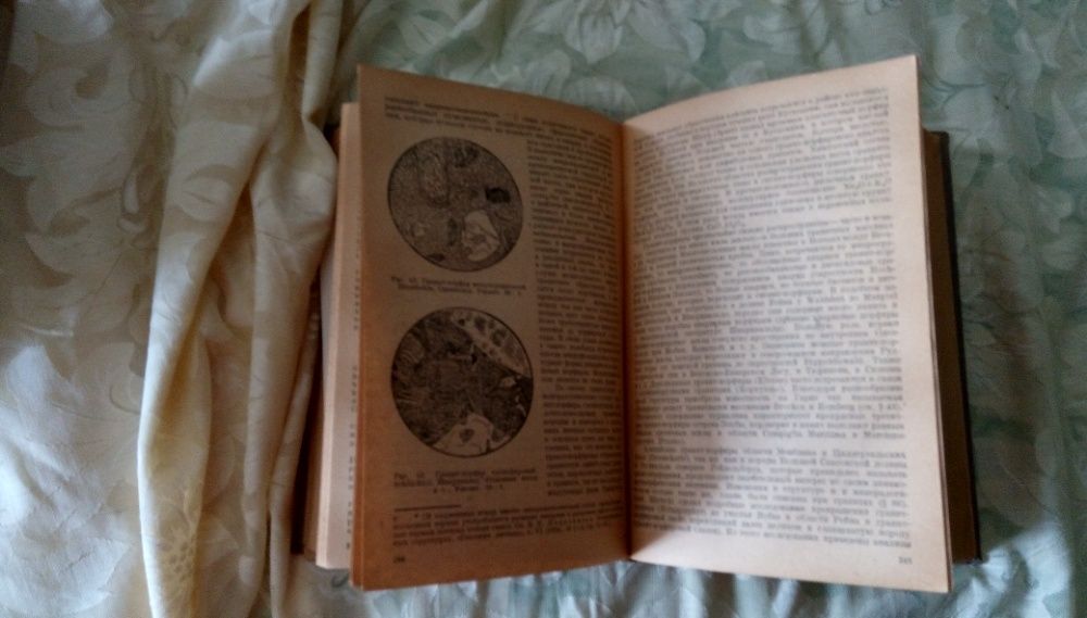 Описательная петрография автор К.Розенбуш 1934 г