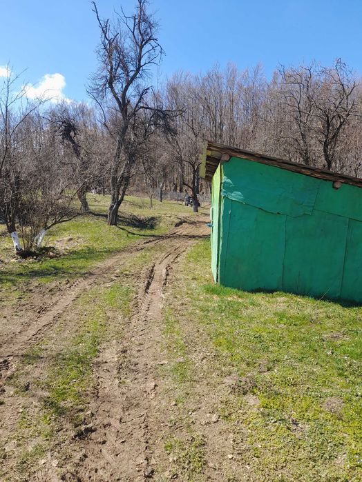 Coliba plus 2 hectare de pamant