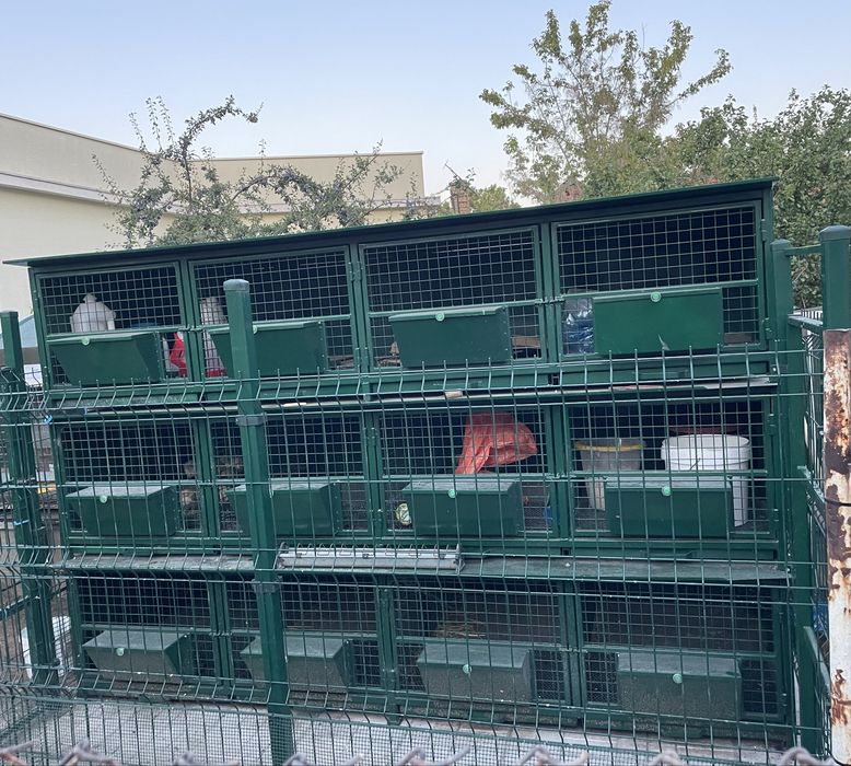 Клетки за зайци и други